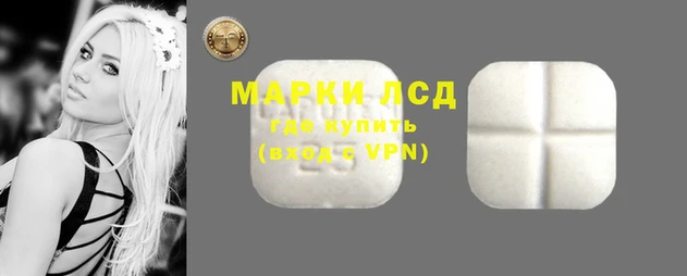 мдма Новозыбков